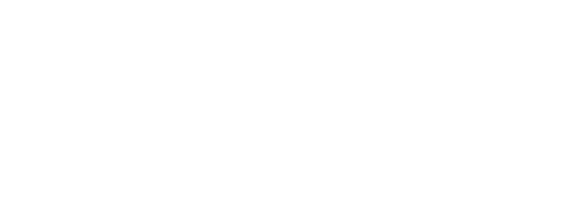 Logo Promafluid blanc - Solutions pour Transfert de Fluides